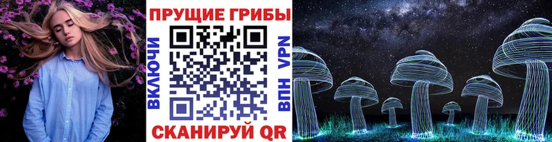 Купить где Каспийск Галлюциногенные грибы ЛСД